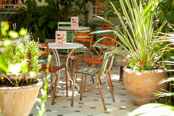 阳光明媚的日子里 一家户外古色古香的咖啡馆 有盆栽 背景明媚的墙壁 — 图库照片