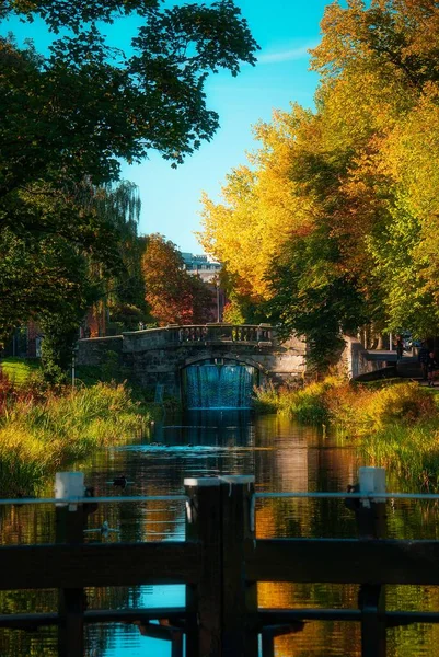 Eine Vertikale Aufnahme Eines Flusses Einem Herbstlichen Park — Stockfoto