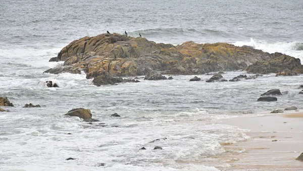 Una Hermosa Roca Con Los Pájaros Posados Mar — Foto de Stock