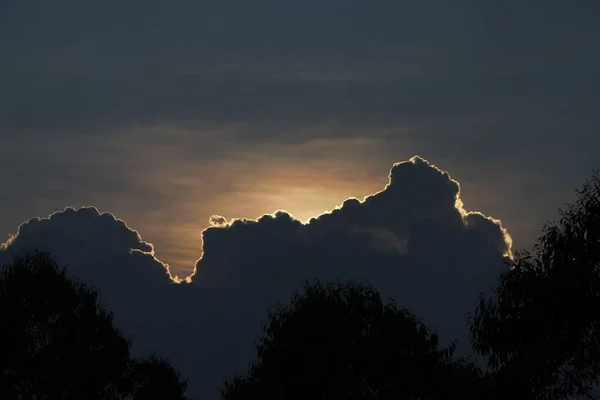 Облачно Темное Небо Над Деревьями — стоковое фото