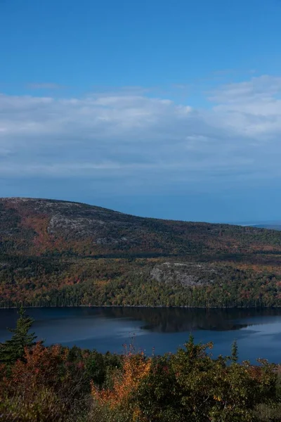 秋の木々に覆われた湖や丘の中腹の垂直ショット — ストック写真