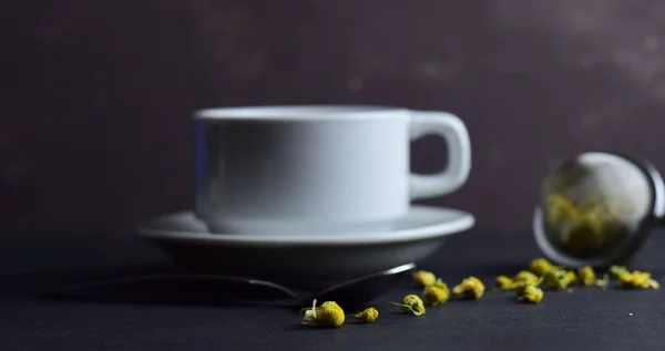 Une Tasse Café Blanc Camomille Dispersée Filtre Pour Infusion Beau — Photo