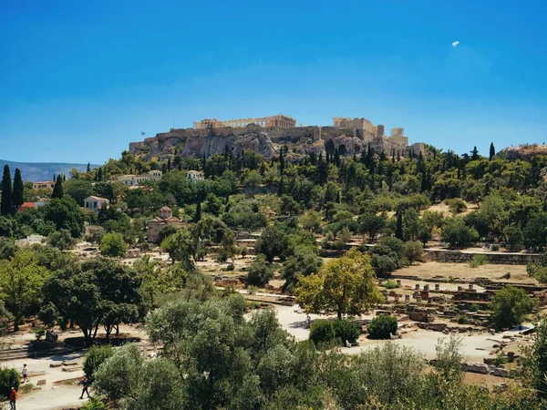 Аерофотозйомка Афінського Агару Оточенні Щільних Дерев — стокове фото
