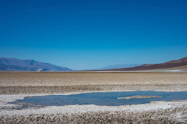 Pöl Eller Vattenhägring Den Heta Mojaveöknen Horisonten — Stockfoto