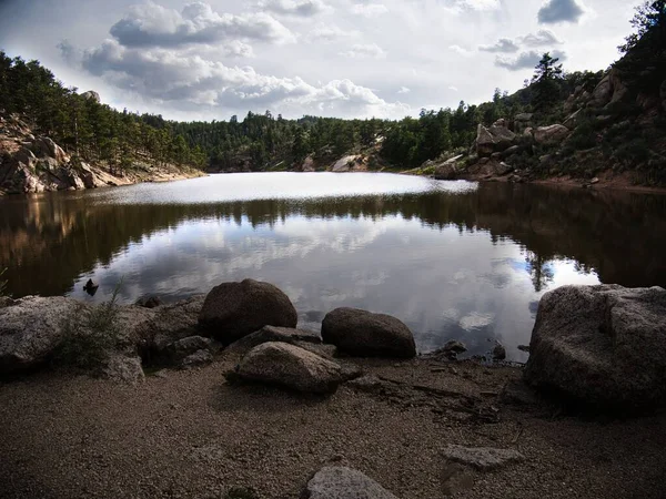 Ein Landschaftsbild Der Tannenwälder Spiegelt Sich Teich Wider — Stockfoto