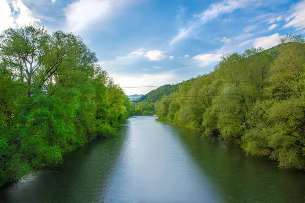晴れた日の穏やかな川や森の風景の自然の景色 — ストック写真