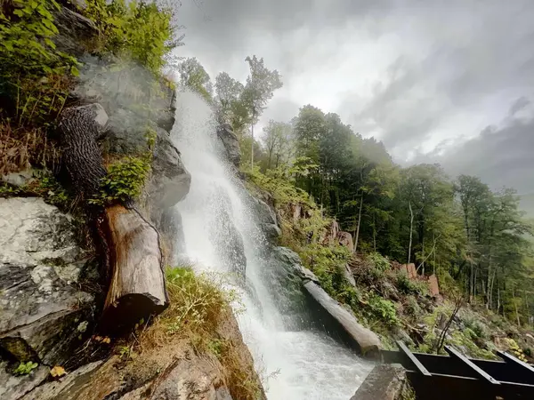 Nízký Úhel Záběru Vodopádu Stékajícího Skalách Pokrytých Zelenými Stromy Zamračeného — Stock fotografie