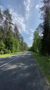 Güneşli bir günde, bir ormanda güzel dar bir patikanın ters çevrilmiş videosu, bisikletçi pov