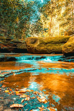 Somersby Şelalesinin dibindeki sığ dere Yeni Güney Galler, Avustralya 'daki Somersby kasabasında.