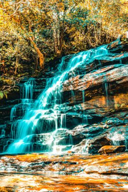 Yeni Güney Galler 'deki Brisbane Su Ulusal Parkı' ndaki Somersby Şelalesi. Dikey çekim