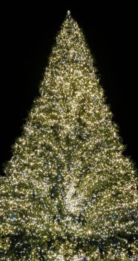 İtalya 'nın Bari şehrinde gece çekilmiş dikey bir Noel ağacı görüntüsü.