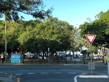 Yoldaki yeşil park.