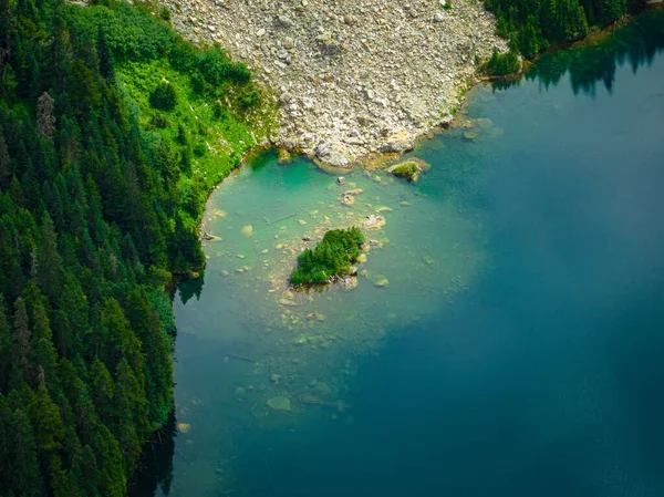 Eine Luftaufnahme Mit Blick Auf Den Schönen Leuchtend Grünen Wald — Stockfoto