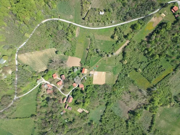 Une Vue Dessus Petit Village Milieu Champ Vert Avec Des — Photo