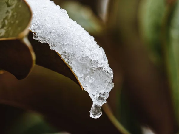 Ένας Παγοκρύσταλλος Μια Ακίδα Πάγου Που Σχηματίζεται Όταν Νερό Πέφτει — Φωτογραφία Αρχείου