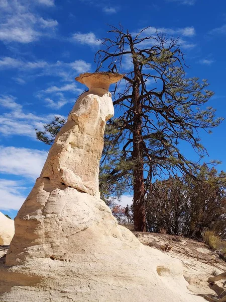 Вертикальний Знімок Природного Геологічного Утворення Каменю Деревом Блакитним Небом Задньому — стокове фото