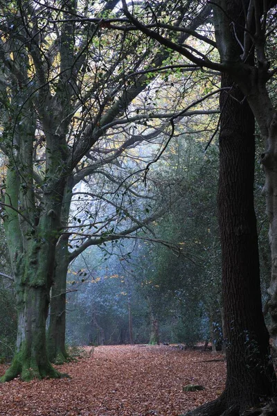 Birmingham Ngiltere Deki Sutton Parkının Dikey Çekimi — Stok fotoğraf