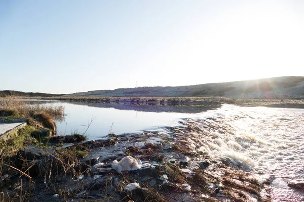 Donmuş Çimlerle Çevrili Göl Manzarası — Stok fotoğraf