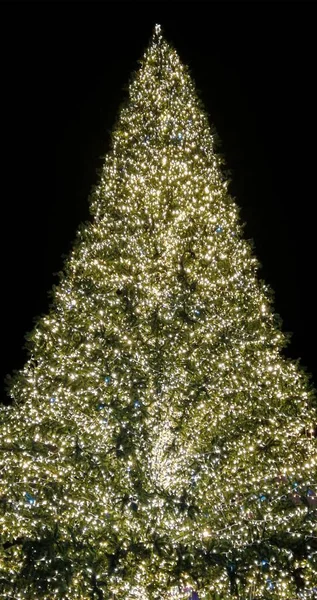 Vertikální Snímek Vánočního Stromku Noci Bari Itálie — Stock fotografie