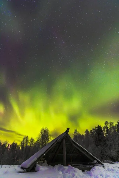 Kuzey Işıklarının Karlı Doğada Dikey Görüntüsü — Stok fotoğraf