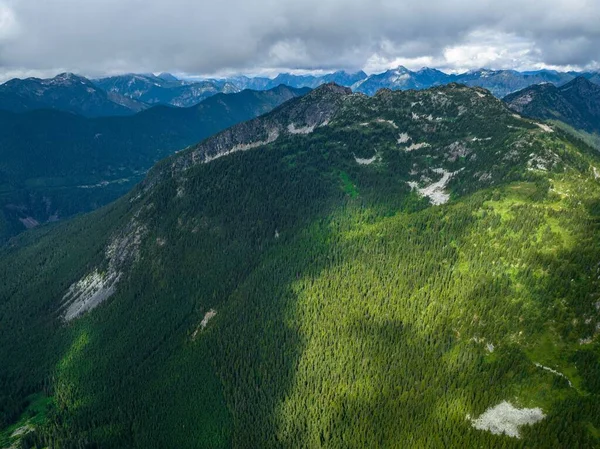 Воздушный Кадр Видом Красивый Ярко Зеленый Лес Пике Флоры — стоковое фото