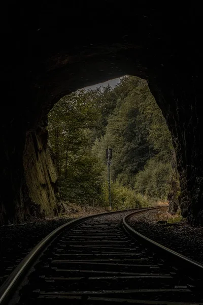 緑の熱帯雨林のトンネルを通って鉄道コースの垂直劇的なショット — ストック写真