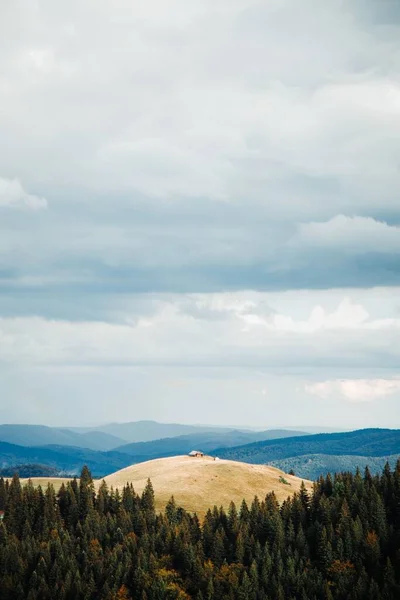 山の近くの美しい森の垂直ショット — ストック写真