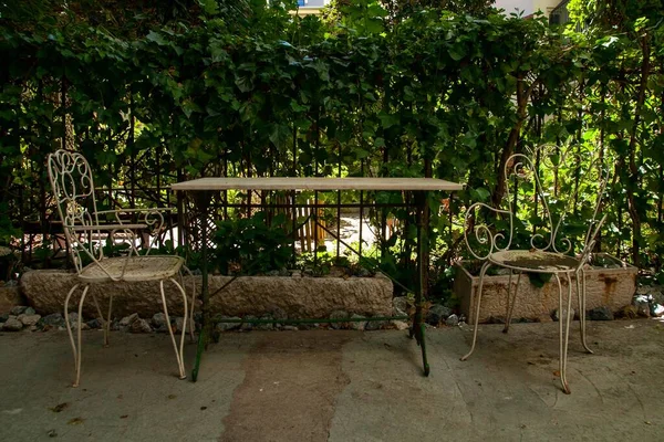 緑の葉とフェンスに囲まれた公園内のヴィンテージ家具付きの庭園 — ストック写真
