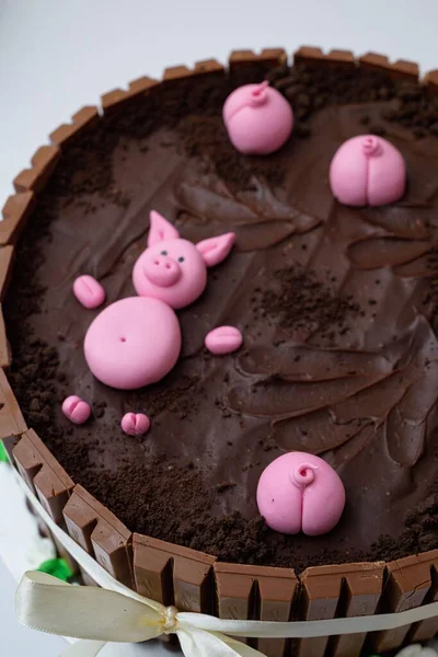 Closeup Top View Chocolate Cake Decorated Swines — Stock Photo, Image