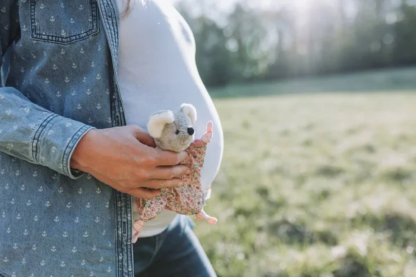 Eine Schwangere Frau Hält Ein Kleines Mäusekuscheltier Einem Sonnigen Feld — Stockfoto