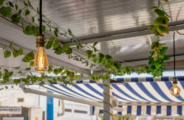 緑の植物で飾られたカフェの天井から吊るされた電球 — ストック写真