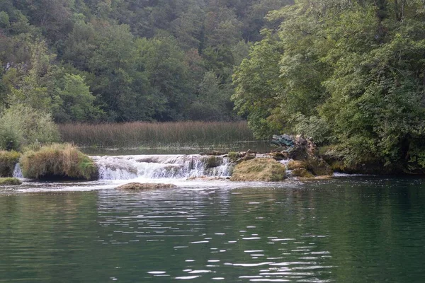 クロアチアの緑の森を流れる川の景色 — ストック写真