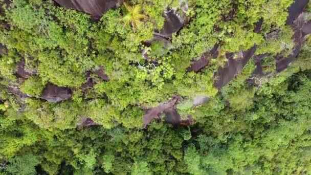 Flygfoto Över Klippor Täckta Grönska Mahe Island Seychellerna — Stockvideo