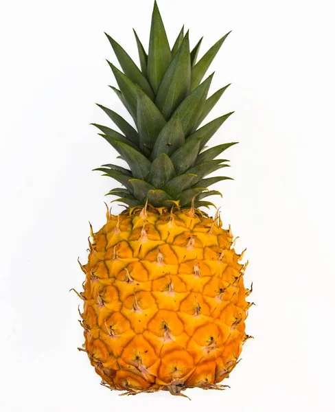 Ananas Białym Tle Białym Tle — Zdjęcie stockowe