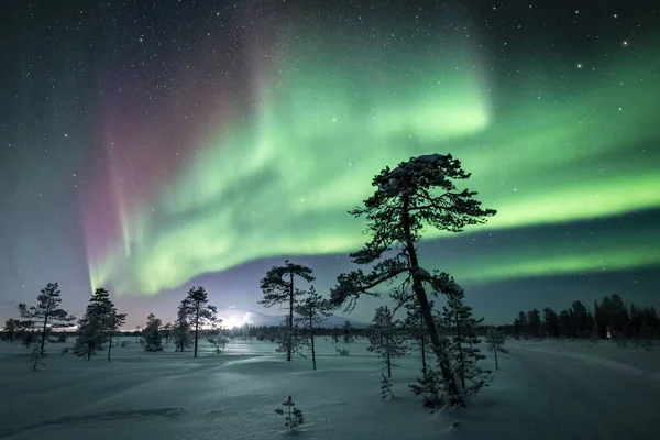 Aurora Polar Ilumina Cielo Estrellado Bosque Nevado Kolari Laponia Finlandia — Foto de Stock