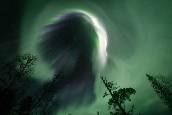 芬兰拉普兰森林中树木的轮廓后面 星空中的极光闪烁着 — 图库照片