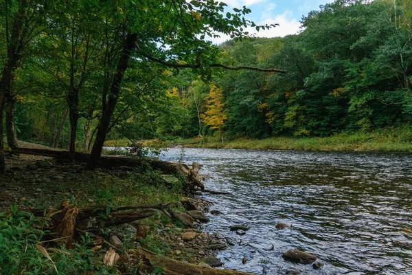 マサチューセッツ州の木や紅葉のあるディアフィールド川の風景 — ストック写真