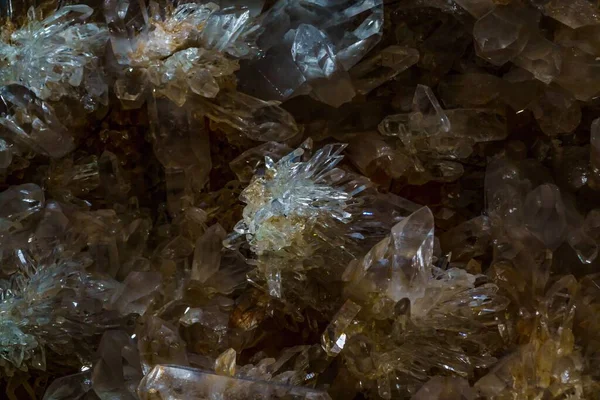 Sebuah Berlian Badak Museum — Stok Foto