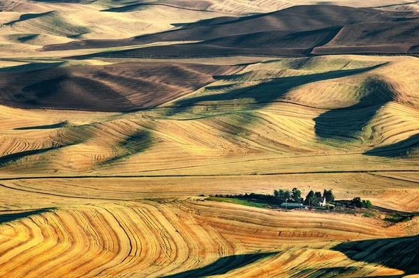 Uma Bela Vista Terras Agrícolas Trigo Com Uma Superfície Colina — Fotografia de Stock