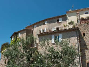 Güneşli bir günde mavi gökyüzünün altında, arkasında eski bir bina olan güzel bir ağaç görüntüsü.