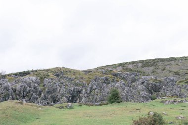 Lagos de Covadonga, Asturias, İspanya 'daki kayalık dağların nefes kesici manzarası.