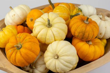 Beyaz arka planda izole edilmiş ahşap bir kasede küçük dekoratif balkabaklarının yakın plan çekimi.