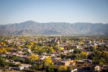 Meksika 'nın Jalisco kentindeki Autlan de Navarro şehrindeki bahar ağaçlarının hava manzarası.