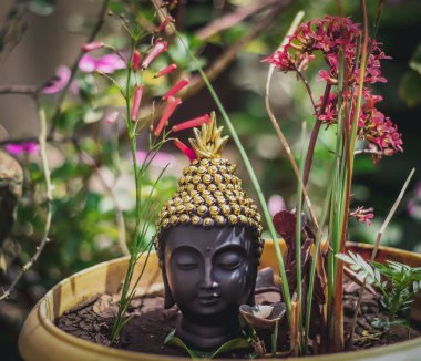 Bir saksının üzerindeki Buda heykeli.