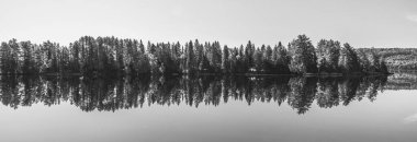 İki Nehir Gölü, Algonquin, Ontario Kanada 'nın panoramik gri ölçekli görüntüsü