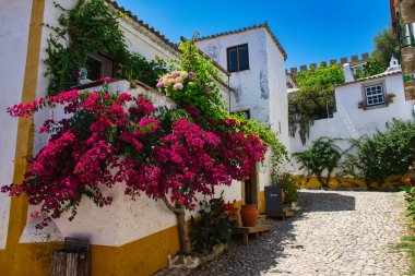 Portekiz 'in Obidos şehrinde renkli bir cadde