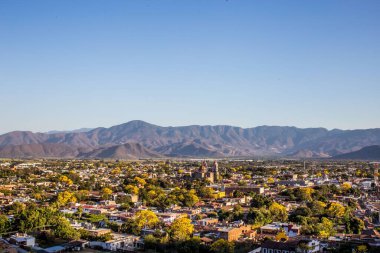 Meksika 'nın Jalisco kentindeki Autlan de Navarro şehrindeki bahar ağaçlarının hava manzarası.