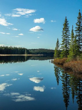 Kanada 'da Quebec ormanında ağaçlarla çevrili bir gölün dikey görüntüsü.