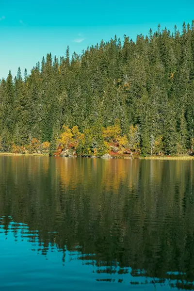 Вертикальный Снимок Озера Свартдальстьерна Деревьями Свартдальстьерны Осенью Тотенасен Хиллс Норвегия — стоковое фото
