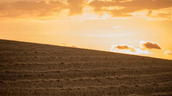 Una Vista Panoramica Campo Agricolo Durante Tramonto Cinematografico — Foto Stock